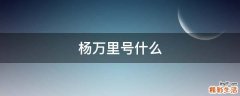 杨万里号什么
