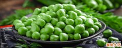 豌豆发芽了还可以吃吗 豌豆发芽了怎么做好吃
