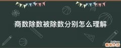 商数除数被除数分别怎么理解