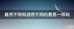 截然不同和迥然不同的意思一样吗