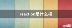 reaction是什么梗