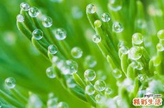 入梅当天是下雨好还是晴天好