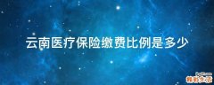 云南医疗保险缴费比例是多少