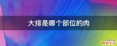 大排是哪个部位的肉