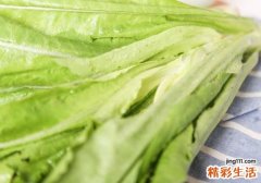 油麦菜是不是莴笋叶 油麦菜和莴笋叶有什么区别