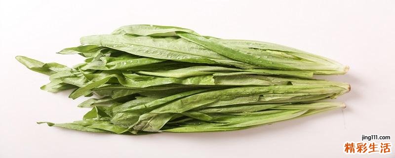 油麦菜洗完后怎么保存 油麦菜可以放冰箱冷藏吗
