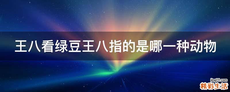 王八看绿豆王八指的是哪一种动物