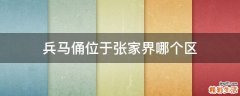 兵马俑位于张家界哪个区