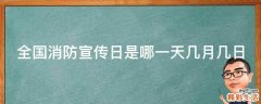 全国消防宣传日是哪一天几月几日