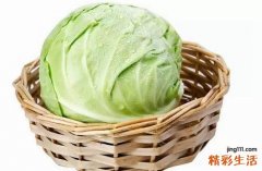 圆白菜功效与作用