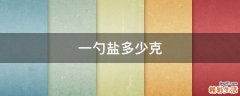 一勺盐多少克