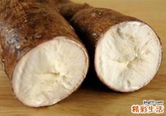 木薯的功效与作用