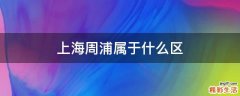 上海周浦属于什么区