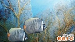 4 白领解乏放松的方法