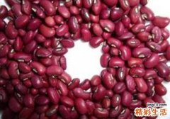 豇豆发芽了能吃吗
