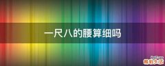 一尺八的腰算细吗