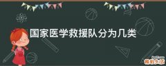 国家医学救援队分为几类
