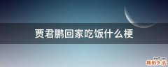 贾君鹏回家吃饭什么梗
