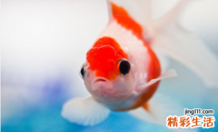 趴在地上是爸爸的责任