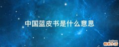 中国蓝皮书是什么意思