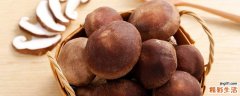 蘑菇热量是多少高吗 减肥为什么不能吃菌类