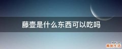 藤壶是什么东西可以吃吗