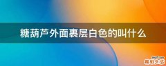 糖葫芦外面裹层白色的叫什么