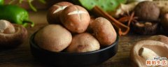蘑菇焯水后可以冷冻吗 蘑菇保存放冷藏还是冷冻