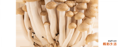 鲜蘑菇放冰箱能放多久 鲜蘑菇发霉了还可以吃吗