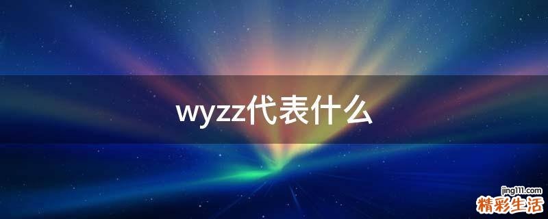 wyzz代表什么
