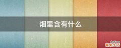 烟里含有什么