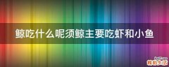 鲸吃什么呢须鲸主要吃虾和小鱼