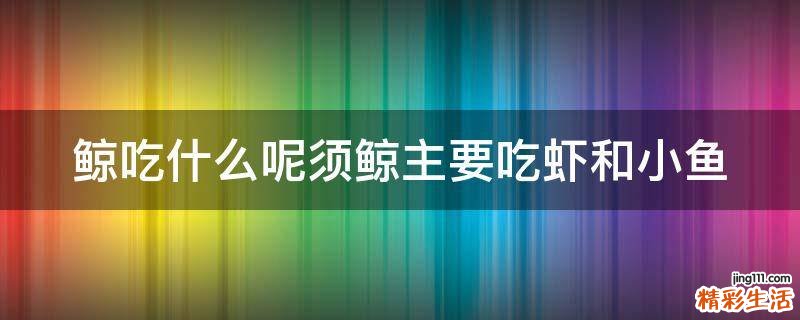 鲸吃什么呢须鲸主要吃虾和小鱼