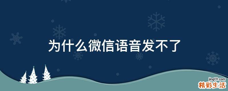 为什么微信语音发不了