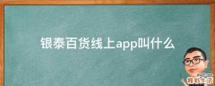 银泰百货线上app叫什么