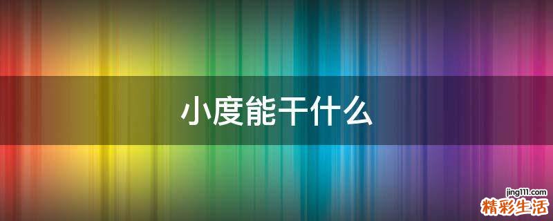 小度能干什么