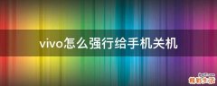 vivo怎么强行给手机关机