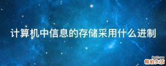 计算机中信息的存储采用什么进制