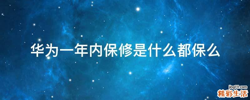 华为一年内保修是什么都保么