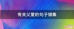 有关父爱的句子锦集