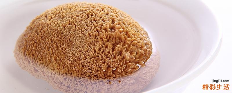 猴头菇怎么泡发 泡发好的猴头菇的保存