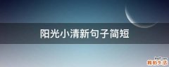 阳光小清新句子简短