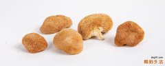 猴头菇可以冷冻保存吗 鲜猴头菇的保存方法