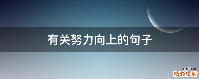 有关努力向上的句子