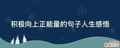 积极向上正能量的句子人生感悟