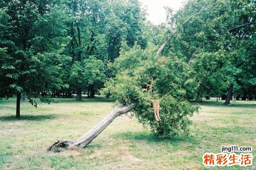 中医治疗子宫肌腺症