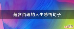 蕴含哲理的人生感悟句子