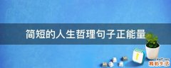 简短的人生哲理句子正能量