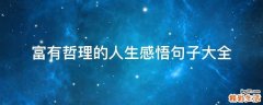 富有哲理的人生感悟句子大全