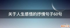 关于人生感悟的抒情句子10句